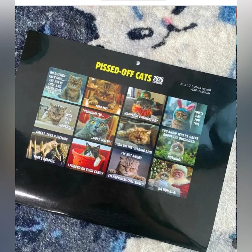 Pissed-Off Cats 2025 Calendar